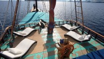 Tiger Blue -  Sunbathing Top Deck